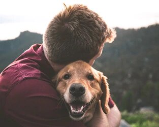 The Ultimate Pet Dad Day Guide