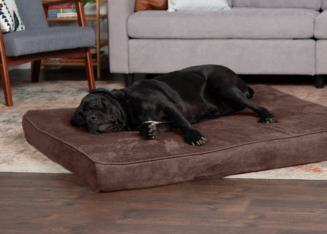 Deluxe Mattress Dog Bed - Terry & Suede