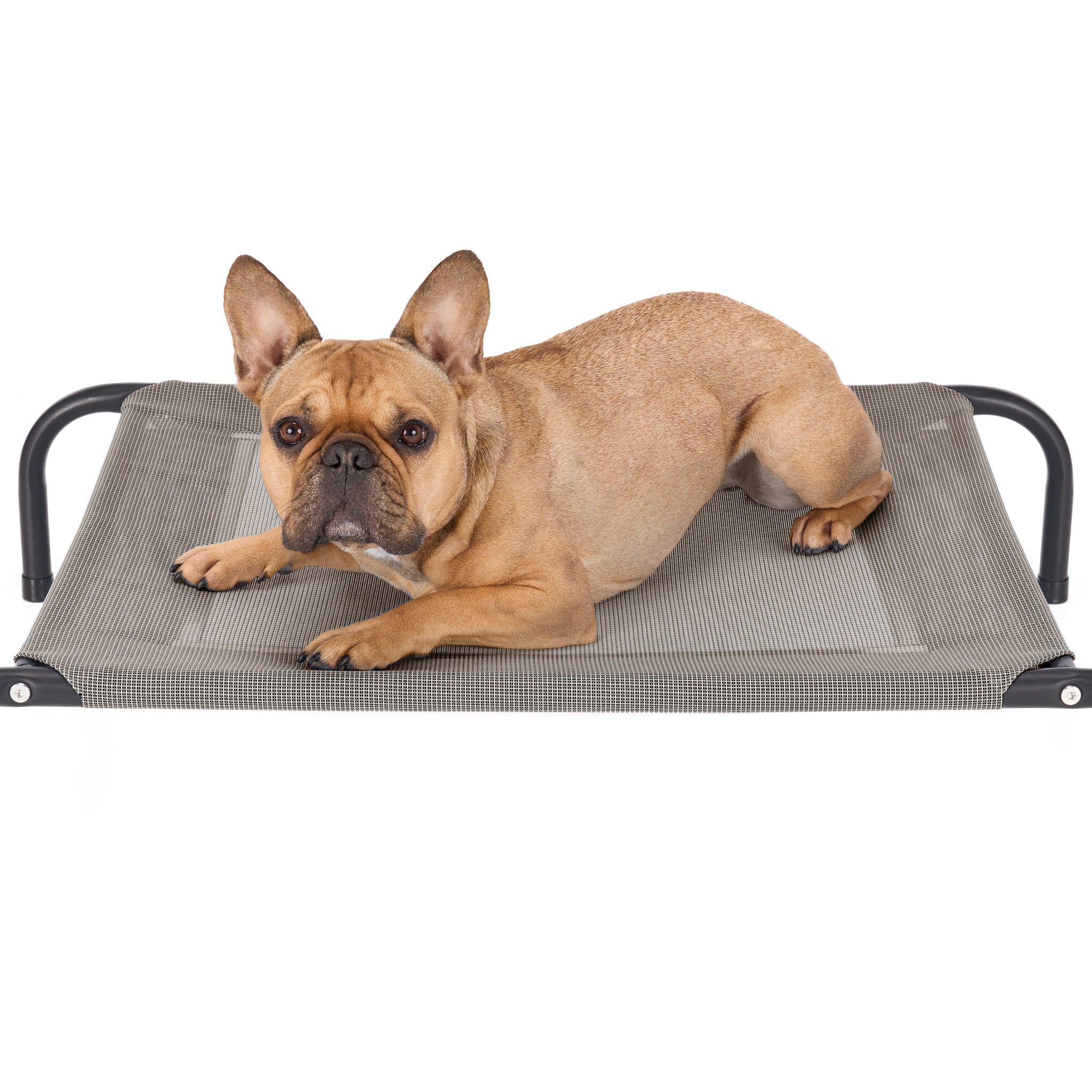 Water Resistant Elevated Pet Cot - Reinforced Mesh