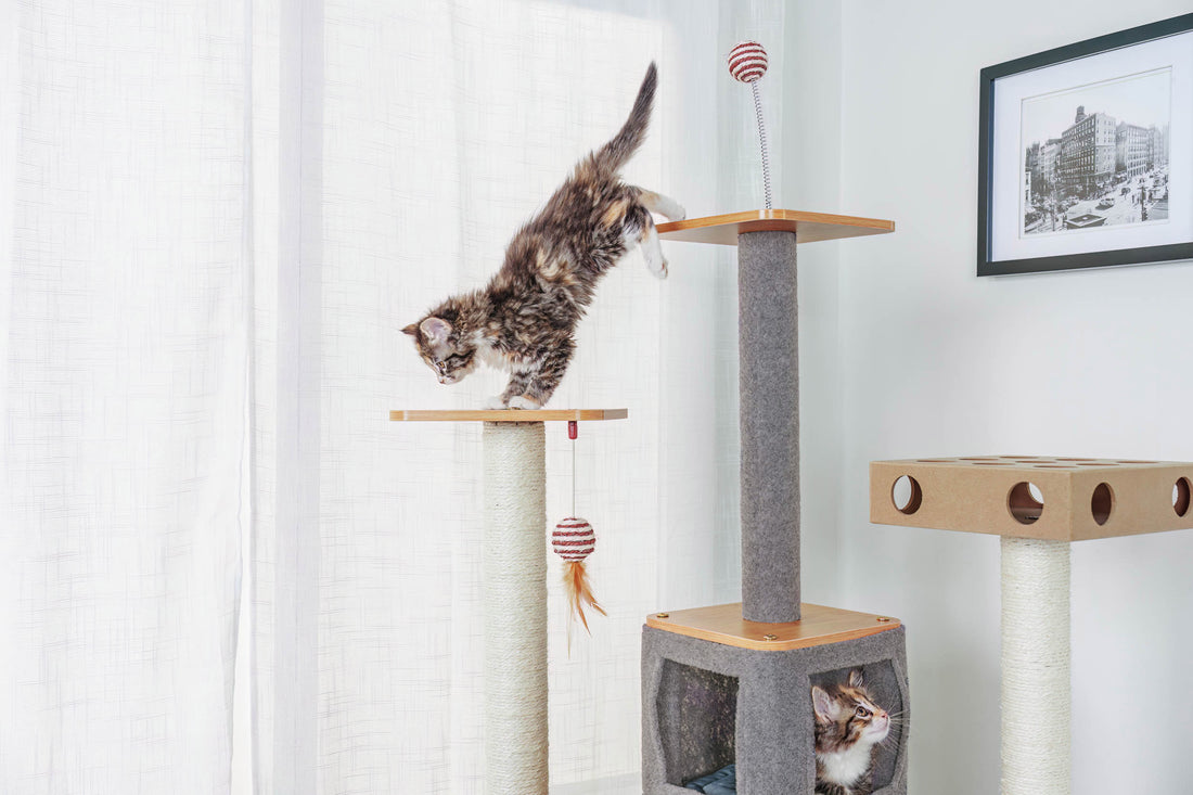 Ascentials by FurHaven Royal Suite Cat Tower (68”), Multi-Level Indoor Cat Tree