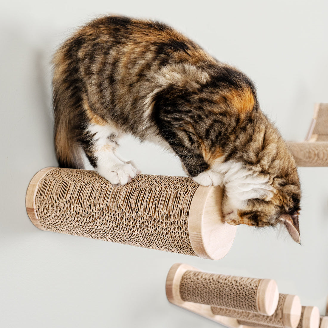 Ascentials by FurHaven Milestone Cat Posts, 12” Multi-Use Indoor Wall Furniture and Corrugated Cardboard Scratcher