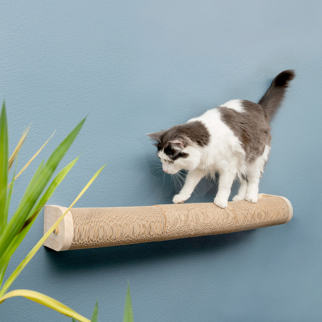 Ascentials by FurHaven Moonbeam Path Cat Scratcher (32”), Wall-Mounted Corrugated Cardboard Climber