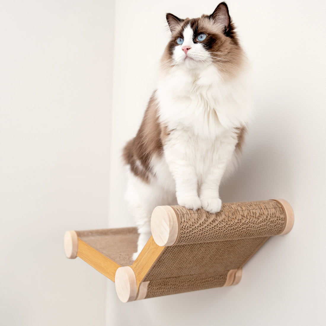 Ascentials by FurHaven Lookout Lounge Cat Shelf (26"), Wall-Mounted Scratching Furniture with Corrugated Cardboard